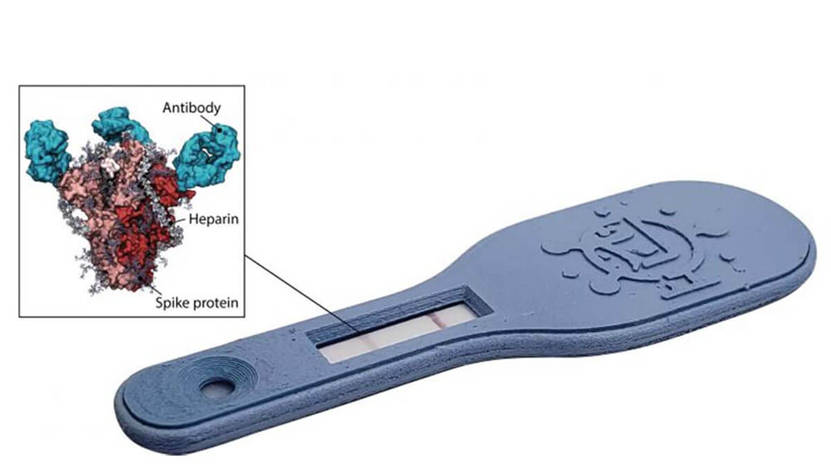 Turning The Tables On The Virus With Low Cost Sugar-coated COVID-19 ...