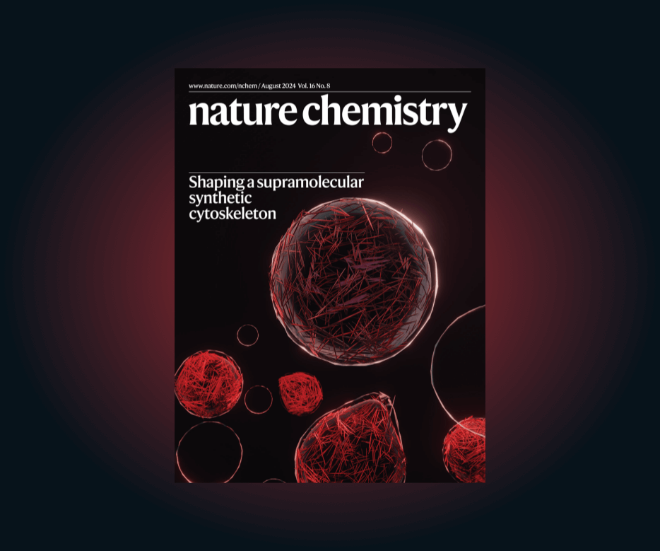 Lab’s Research Makes Cover of Nature Chemistry